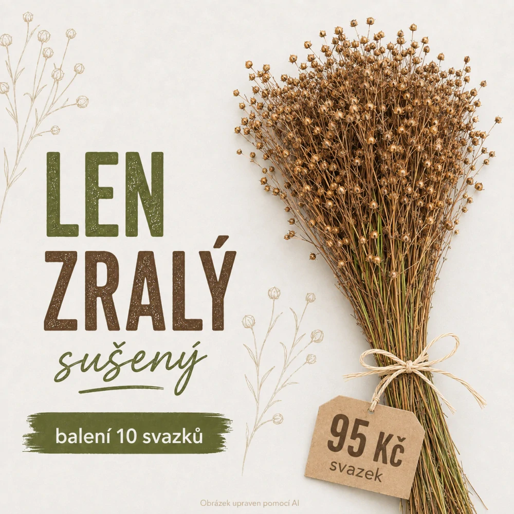 Len setý 1 svazek