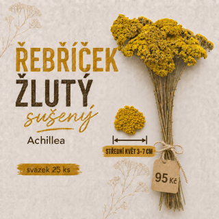 Řebříček žlutý, sušený, průměr květu 3-7 cm, svazek 25 ks